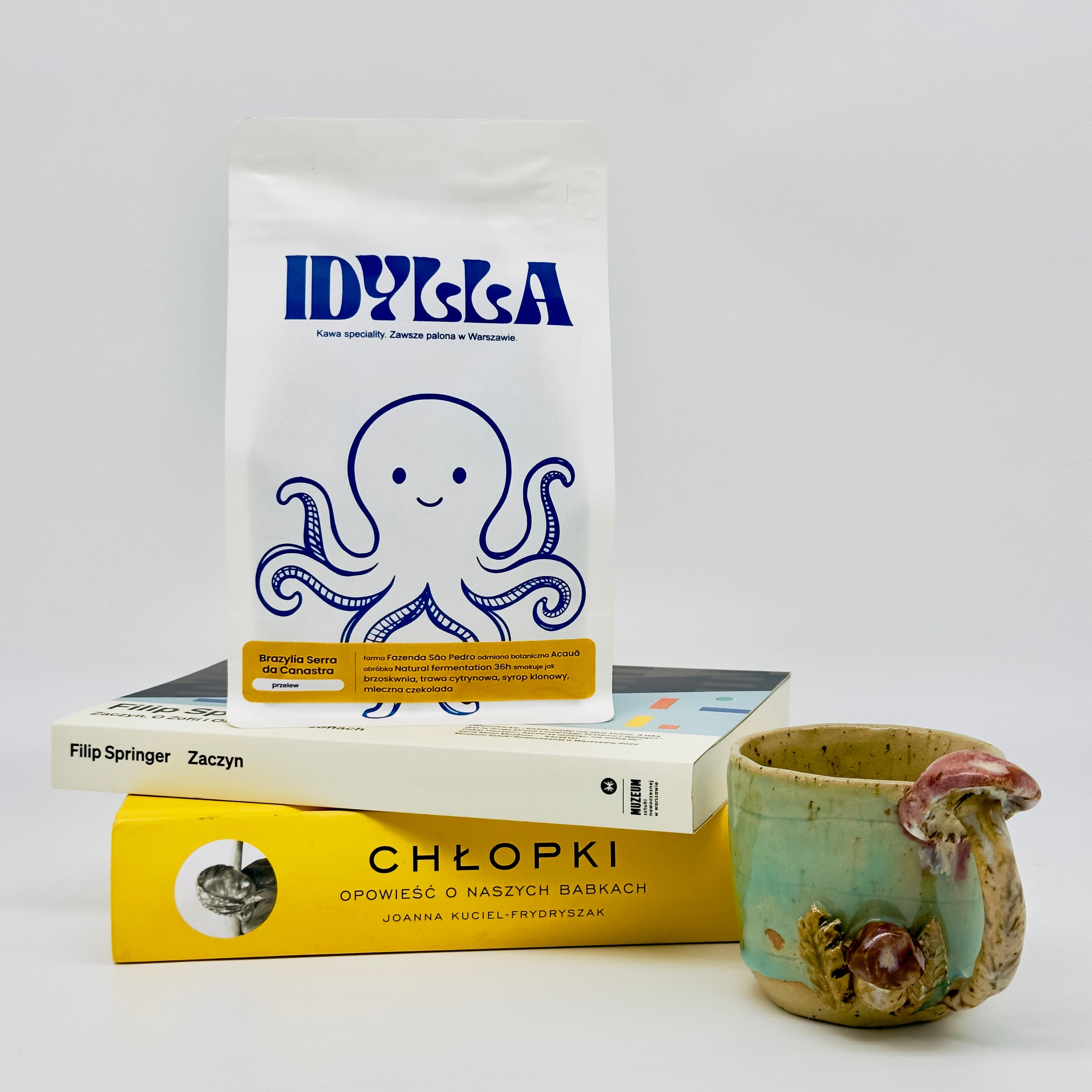 Brazylia Serra da Canastra